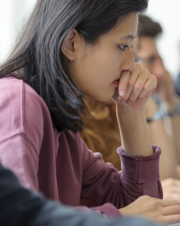 >MSc / Specialised Masters