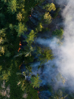 ESCP SUSTAINABILITY INSTITUTE